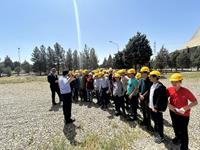 IMG_3210 (Copy)_thumb.jpg